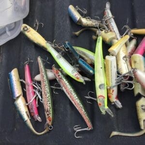 Kevin-Hill-191-6-scaled - Montana Auctions by Kevin Hill