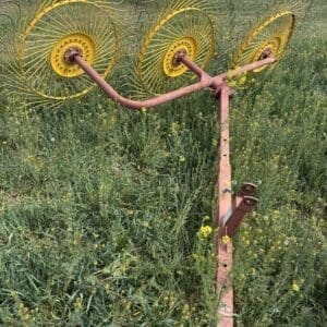 IMG_5525 - Montana Auctions by Kevin Hill