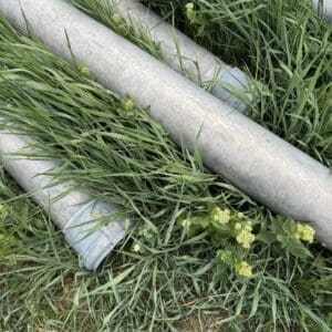 IMG_5720 - Montana Auctions by Kevin Hill