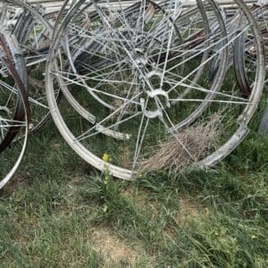 IMG_5765 - Montana Auctions by Kevin Hill