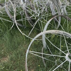 IMG_5769 - Montana Auctions by Kevin Hill