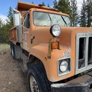 IMG_6527 - Montana Auctions by Kevin Hill Orange dump truck with rust and dirt on a dirt road, parked near a pine forest under a blue sky (front-left angle).