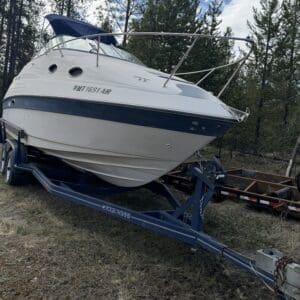 IMG_6549 - Montana Auctions by Kevin Hill A white motorboat on a blue trailer in a grassy clearing with trees in the background and a blue canopy over the cockpit.