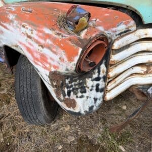IMG_6579 - Montana Auctions by Kevin Hill Rusty, vintage truck front with peeling orange paint, a bird's nest and debris on the hood in a field of dry grass.