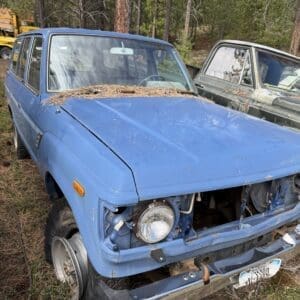 IMG_6590 - Montana Auctions by Kevin Hill Blue vintage pickup with pine needles piled on the hood, parked in a pine forest; front bumper missing and rust visible.