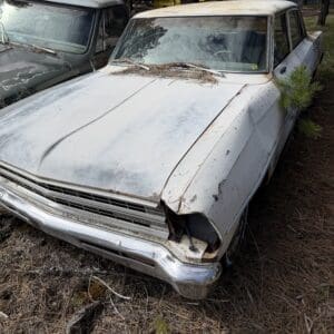IMG_6600 - Montana Auctions by Kevin Hill Abandoned white vintage sedan with major front-end damage and rust, parked among pine needles in a wooded lot with other old cars.