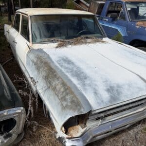 IMG_6601 - Montana Auctions by Kevin Hill Old white vintage car with a rusted hood and missing front right headlight, sitting among abandoned vehicles in a pine forest.