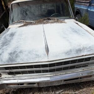 IMG_6602 - Montana Auctions by Kevin Hill Old, weathered vintage car with a dusty, chipped hood and a nest on the windshield wipers, parked outdoors with rusted bumper and grille.