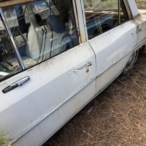 IMG_6603 - Montana Auctions by Kevin Hill Old white vintage car door with rust and grime, parked among pine needles in an outdoor lot