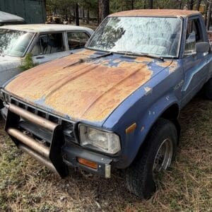 IMG_6610 - Montana Auctions by Kevin Hill Old blue pickup with a heavily rusted hood and bumper guard in a grassy outdoor lot