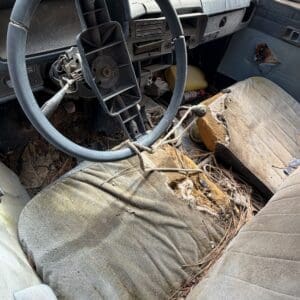 IMG_6611 - Montana Auctions by Kevin Hill Interior of an abandoned car: cracked steering wheel, torn seats, and pine needles/dirt on the upholstery.