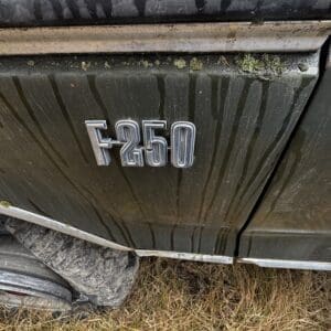 Close-up of a weathered Ford F-250 truck door with dirt streaks and moss along the top edge.