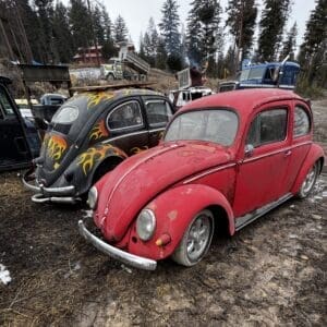 Two vintage Volkswagen Beetles—red in front and a black flame-painted one behind—sitting on a muddy lot with trucks around in a forested yard.
