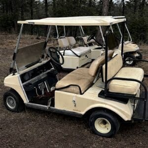 Two beige golf carts with worn seats parked on a dirt surface in a forested area; one has its door open and exposed pedals visible.